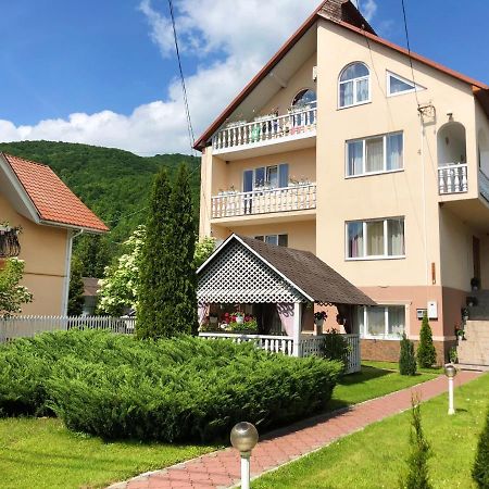 Hotel У Оксани Solochyn Esterno foto