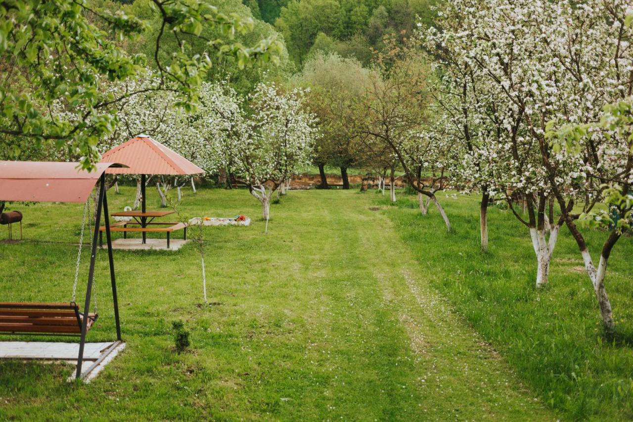 Hotel У Оксани Solochyn Esterno foto