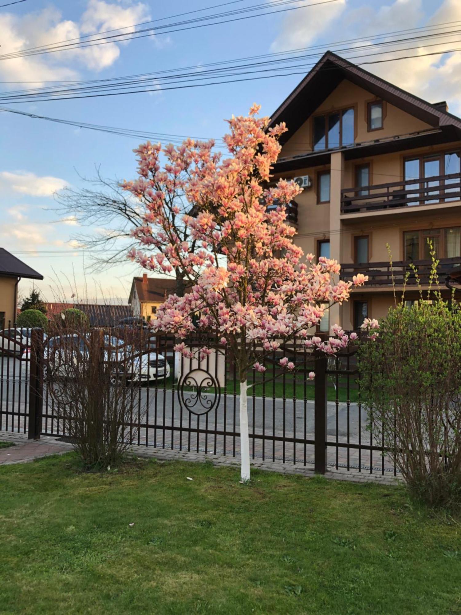 Hotel У Оксани Solochyn Esterno foto